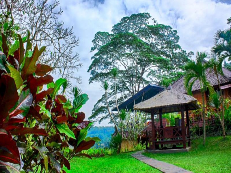 Puri Bunga Resort ウブド エクステリア 写真